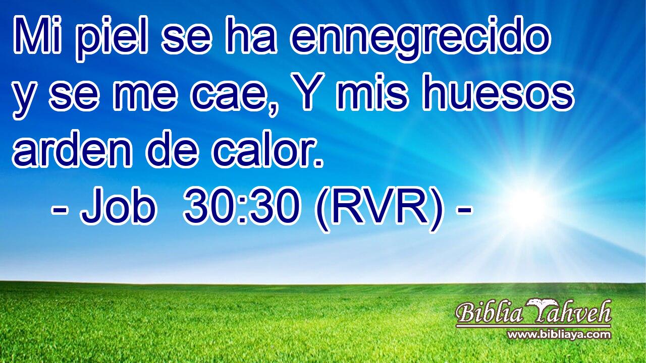 Mi piel se ha ennegrecido y se me cae, Y mis huesos arden de calor.
