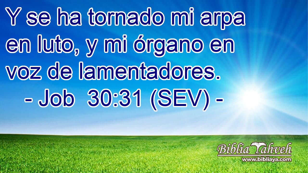 Y se ha tornado mi arpa en luto, y mi órgano en voz de lamentadores.