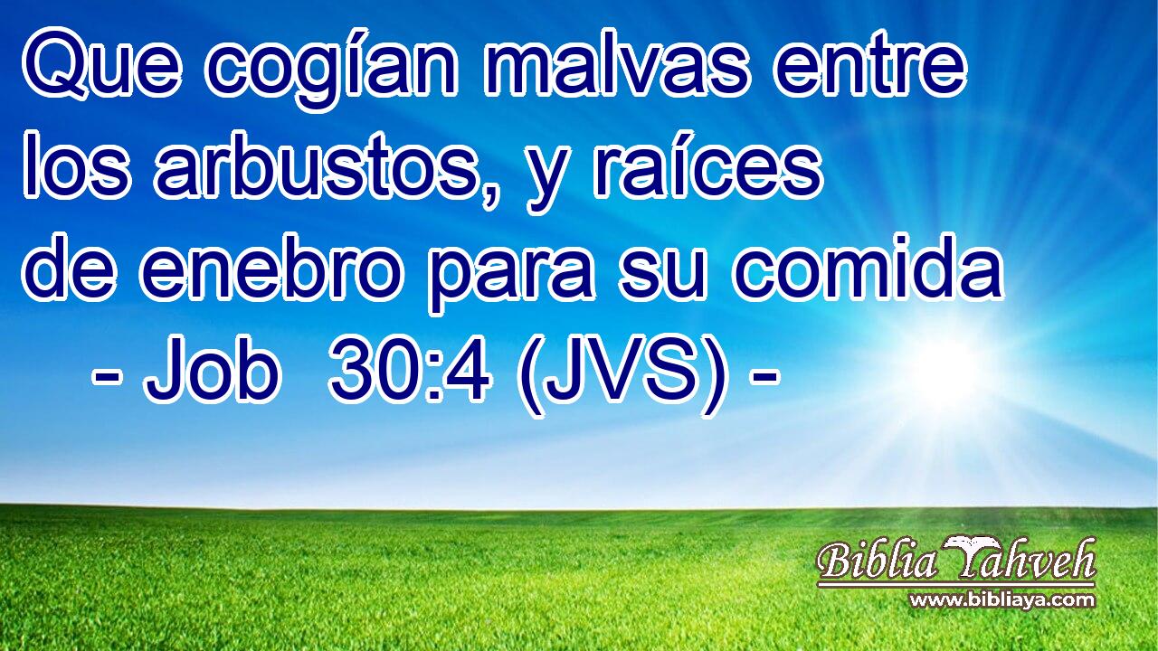 Que cogían malvas entre los arbustos, y raíces de enebro para su comida