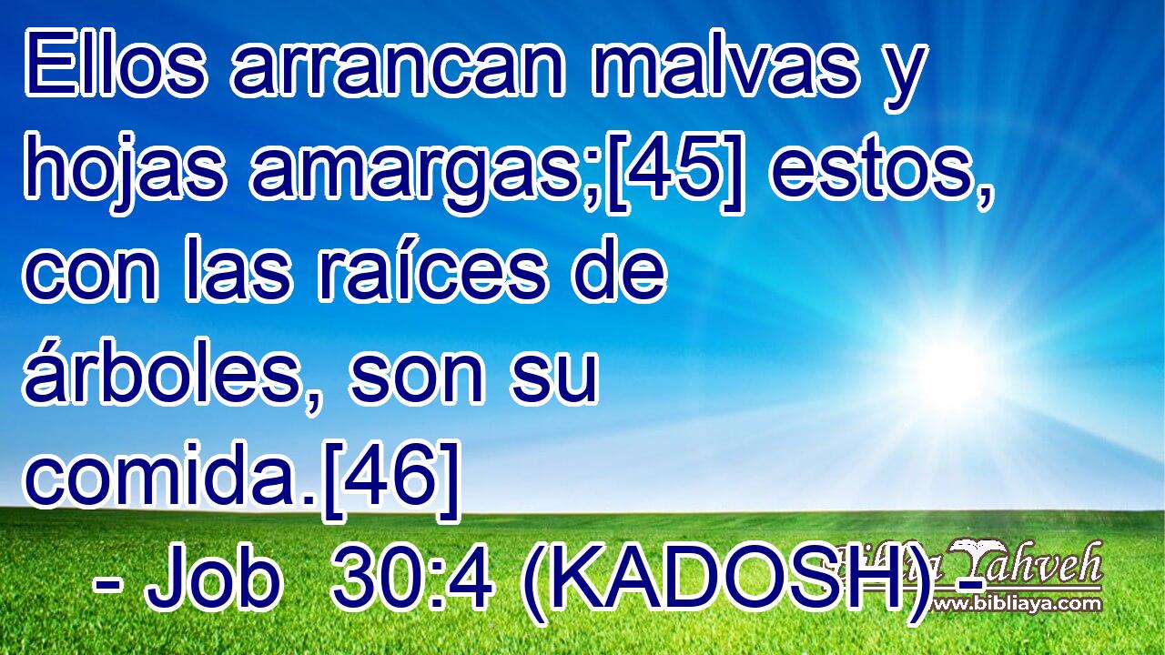  Ellos arrancan malvas y hojas amargas;[45] estos, con las raíces de árboles, son su comida.[46] 