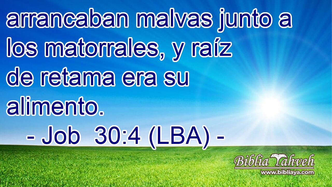 arrancaban malvas junto a los matorrales, y raíz de retama era su alimento.
