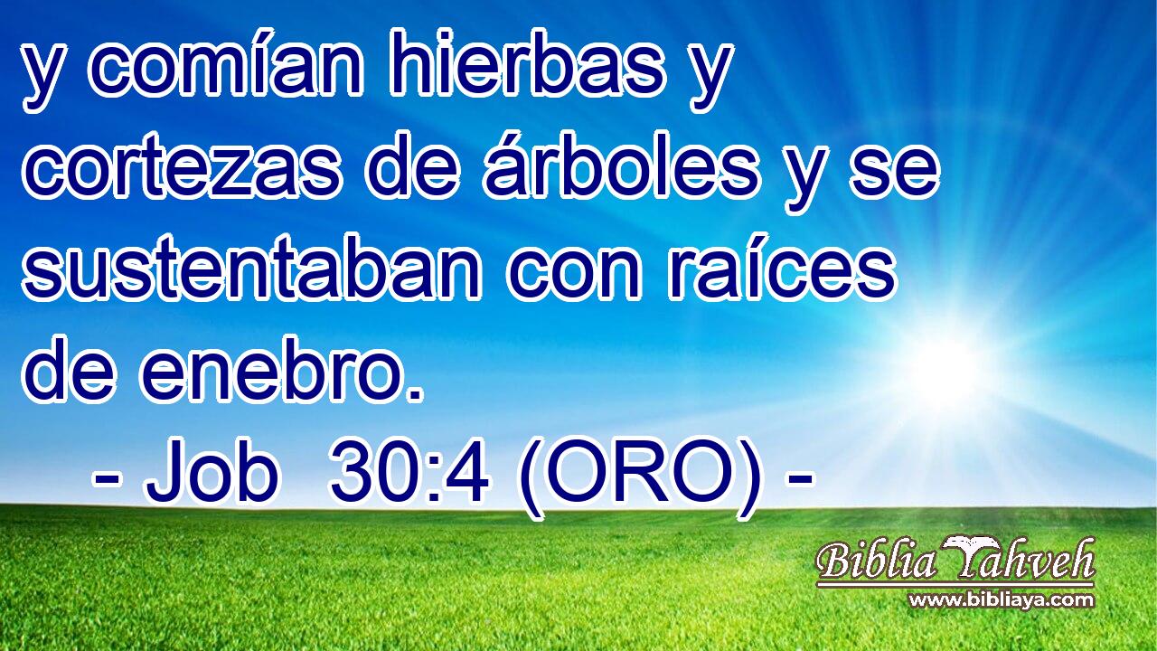  y comían hierbas y cortezas de árboles y se sustentaban con raíces de enebro. 