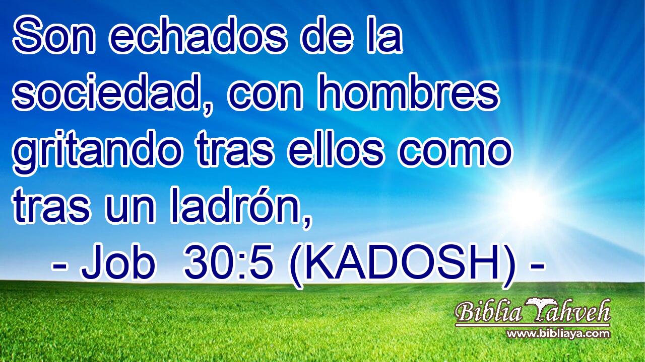  Son echados de la sociedad, con hombres gritando tras ellos como tras un ladrón, 