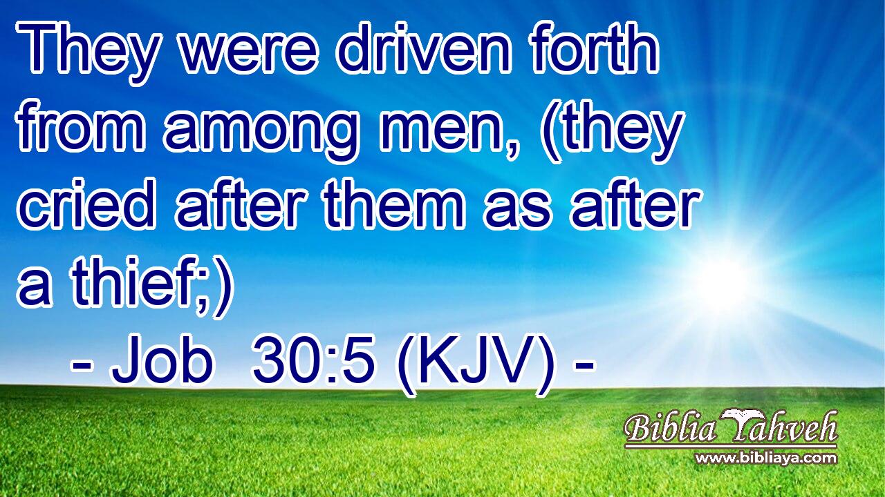 They were driven forth from among men, (they cried after them as after a thief;)