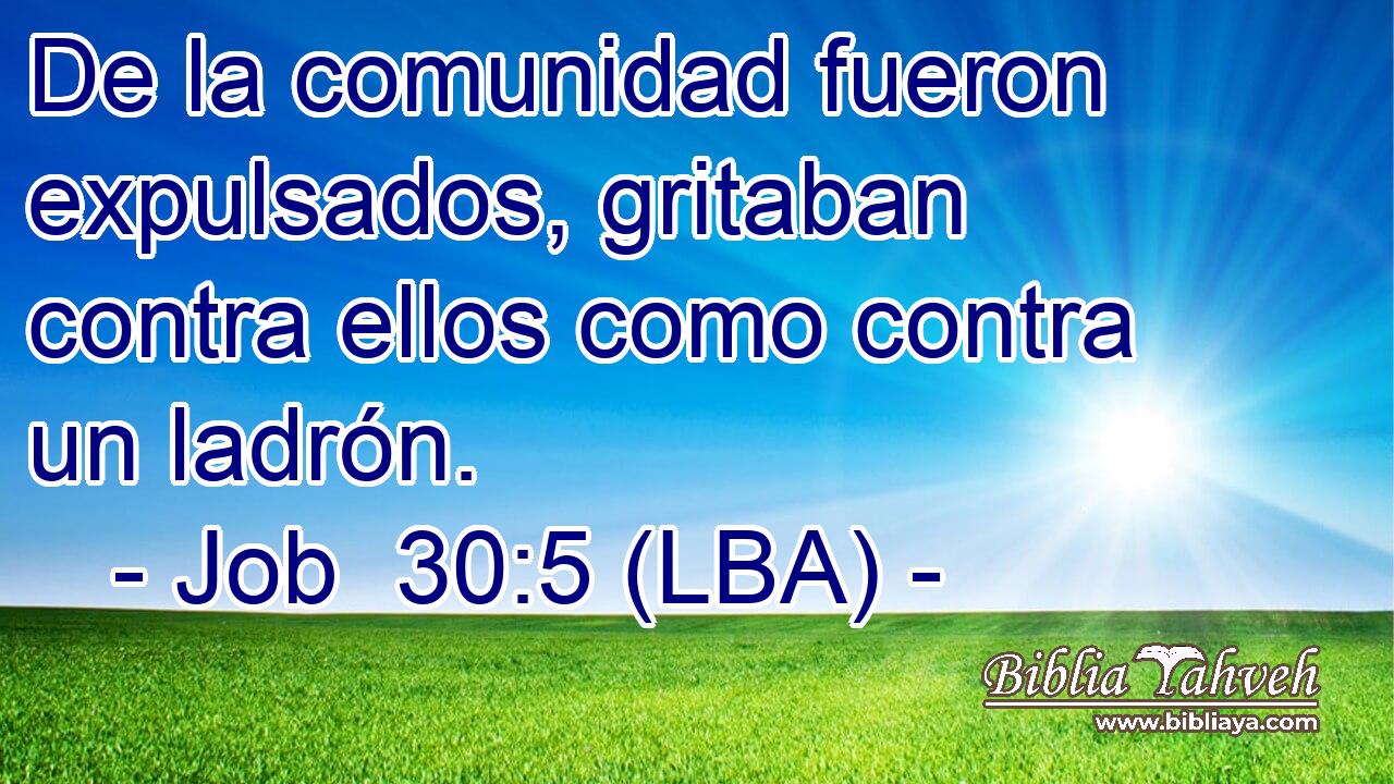 De la comunidad fueron expulsados, gritaban contra ellos como contra un ladrón.