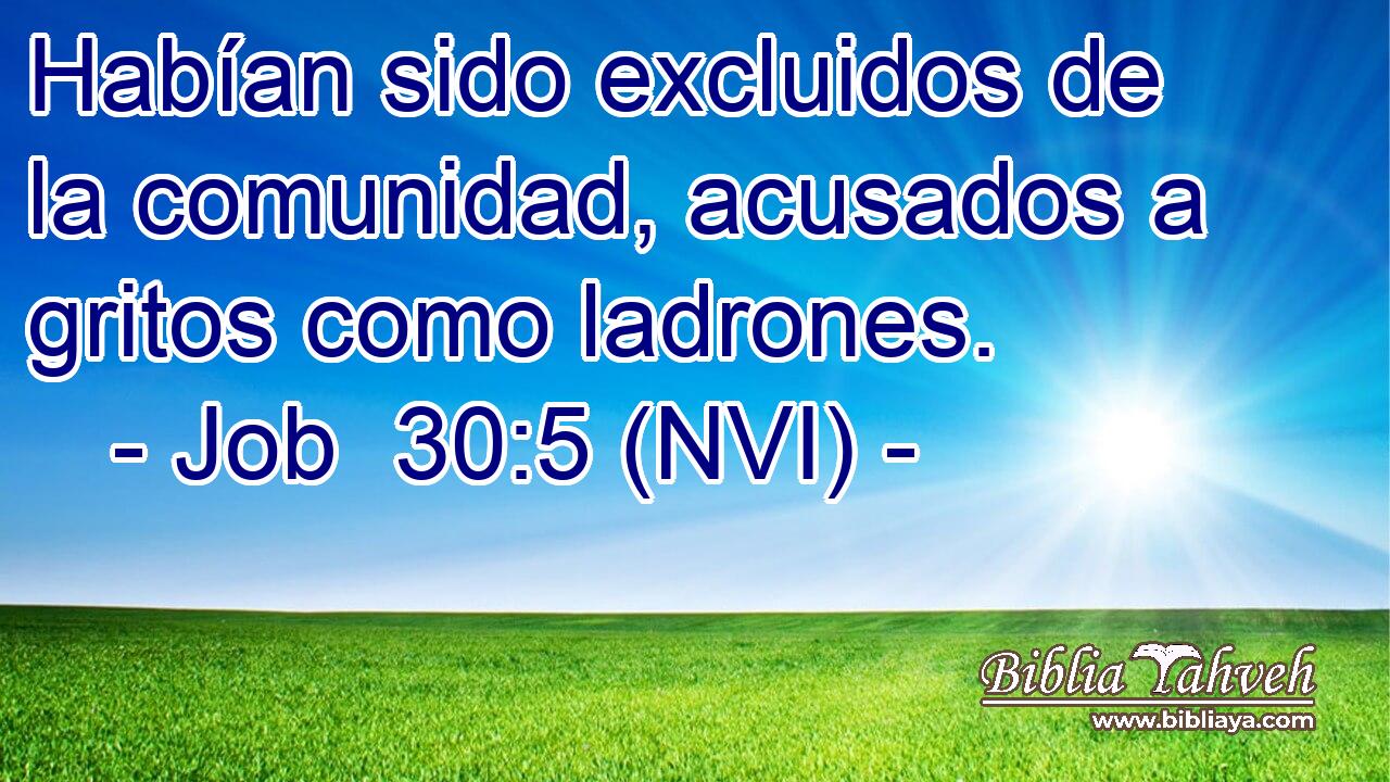  Habían sido excluidos de la comunidad, acusados a gritos como ladrones. 