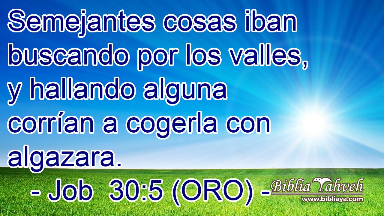  Semejantes cosas iban buscando por los valles, y hallando alguna corrían a cogerla con algazara. 