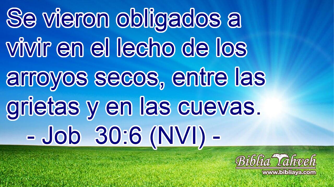  Se vieron obligados a vivir en el lecho de los arroyos secos, entre las grietas y en las cuevas. 