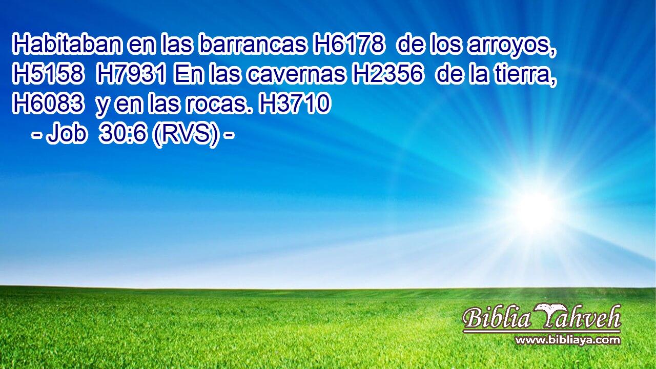 Habitaban en las barrancas H6178  de los arroyos, H5158  H7931 En las cavernas H2356  de la tierra, H6083  y en las rocas. H3710  
