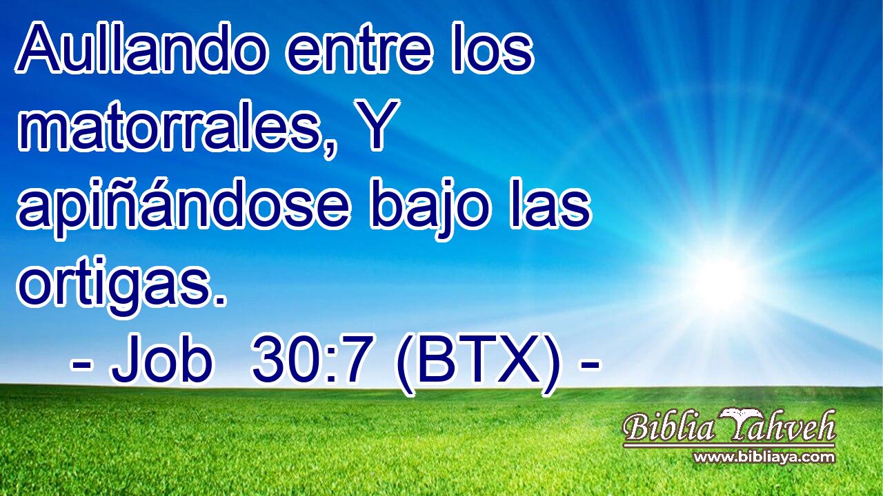 Aullando entre los matorrales, Y apiñándose bajo las ortigas.
