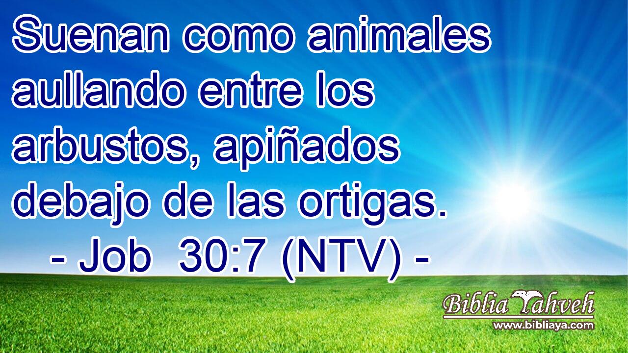 Suenan como animales aullando entre los arbustos, apiñados debajo de las ortigas.