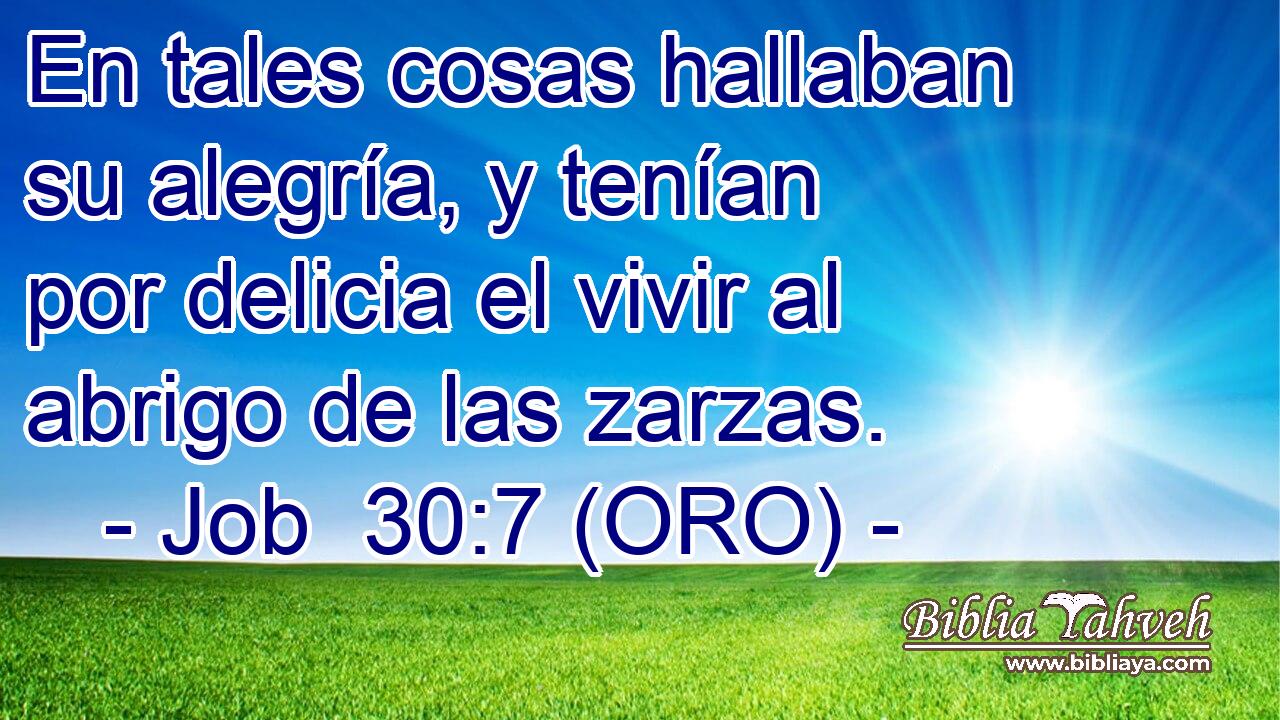  En tales cosas hallaban su alegría, y tenían por delicia el vivir al abrigo de las zarzas. 