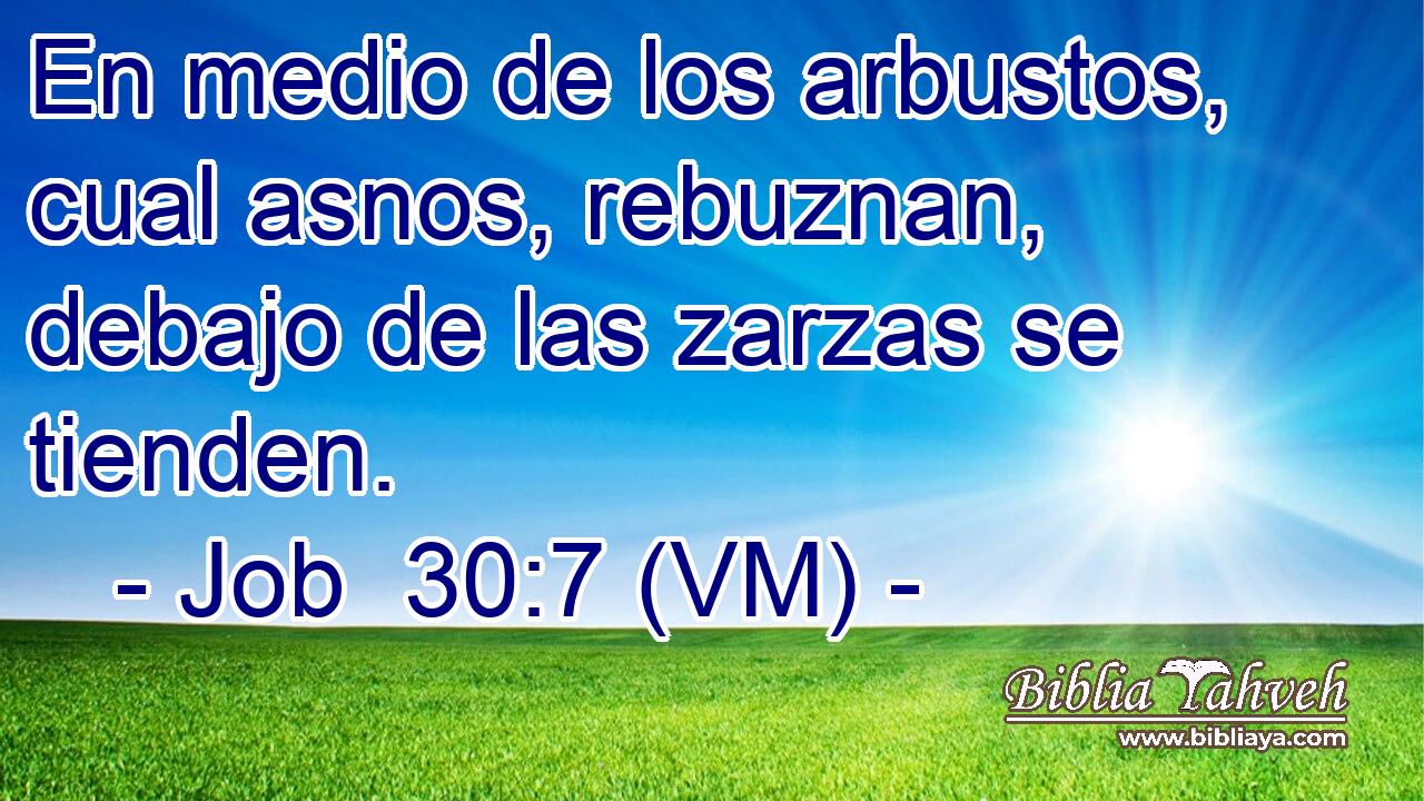  En medio de los arbustos, cual asnos, rebuznan, debajo de las zarzas se tienden. 