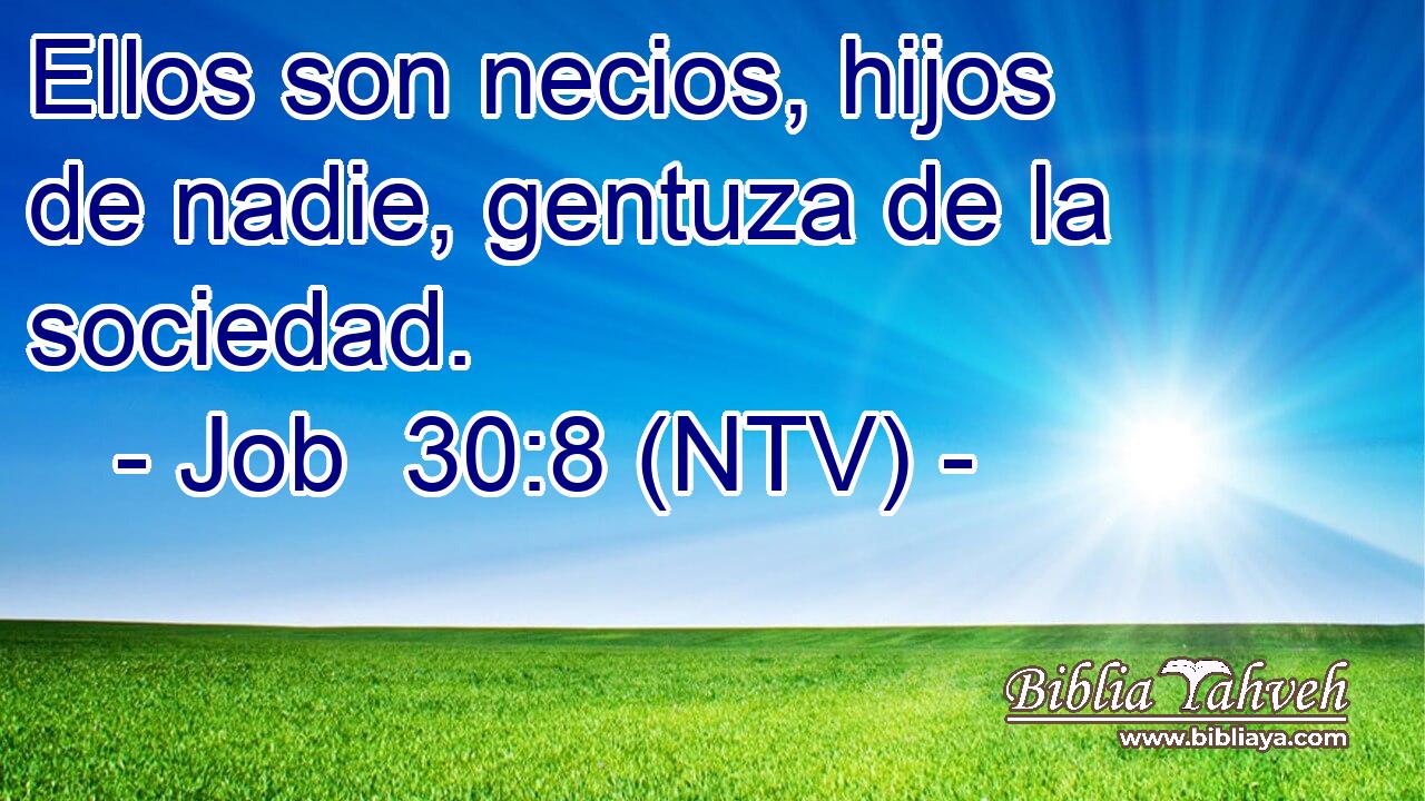 Ellos son necios, hijos de nadie, gentuza de la sociedad.