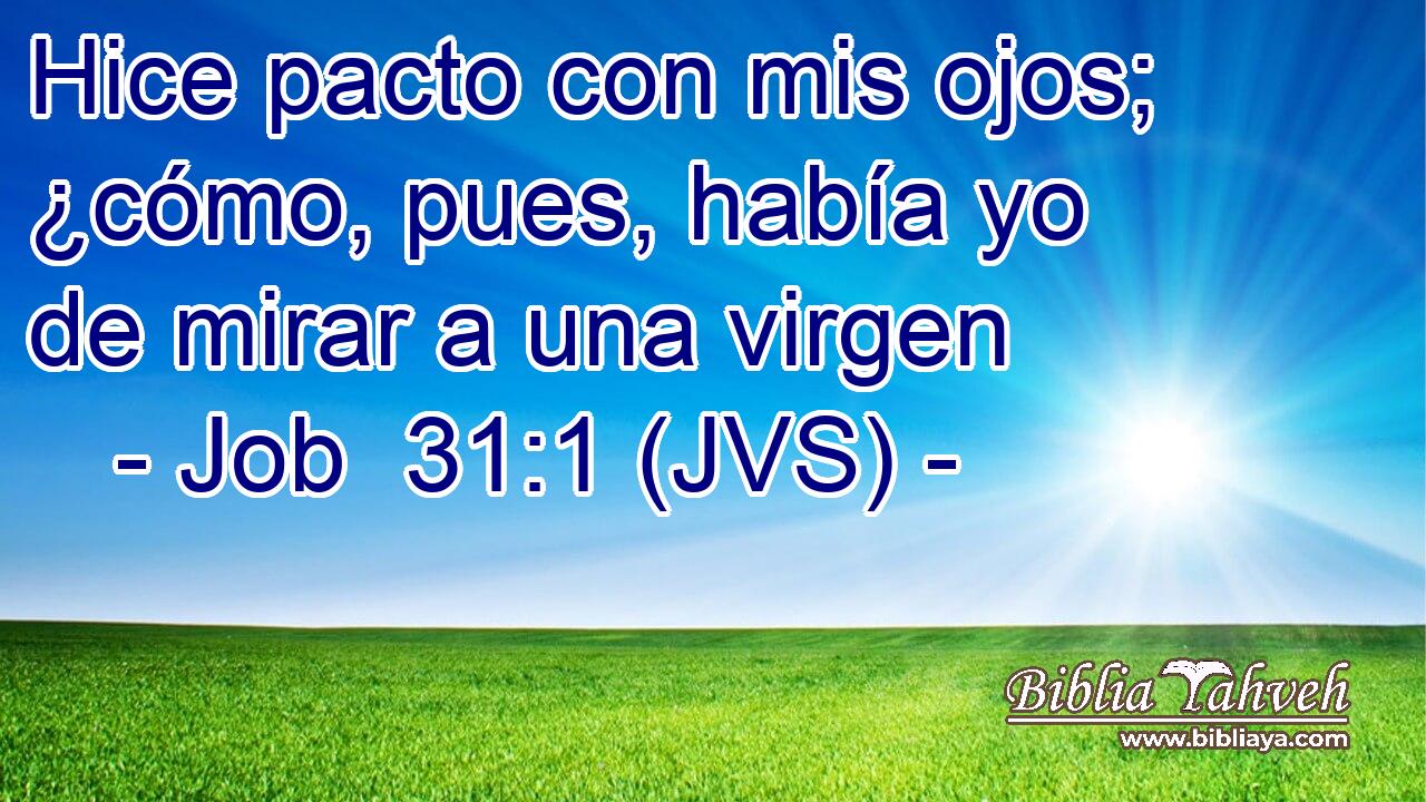 Hice pacto con mis ojos; ¿cómo, pues, había yo de mirar a una virgen