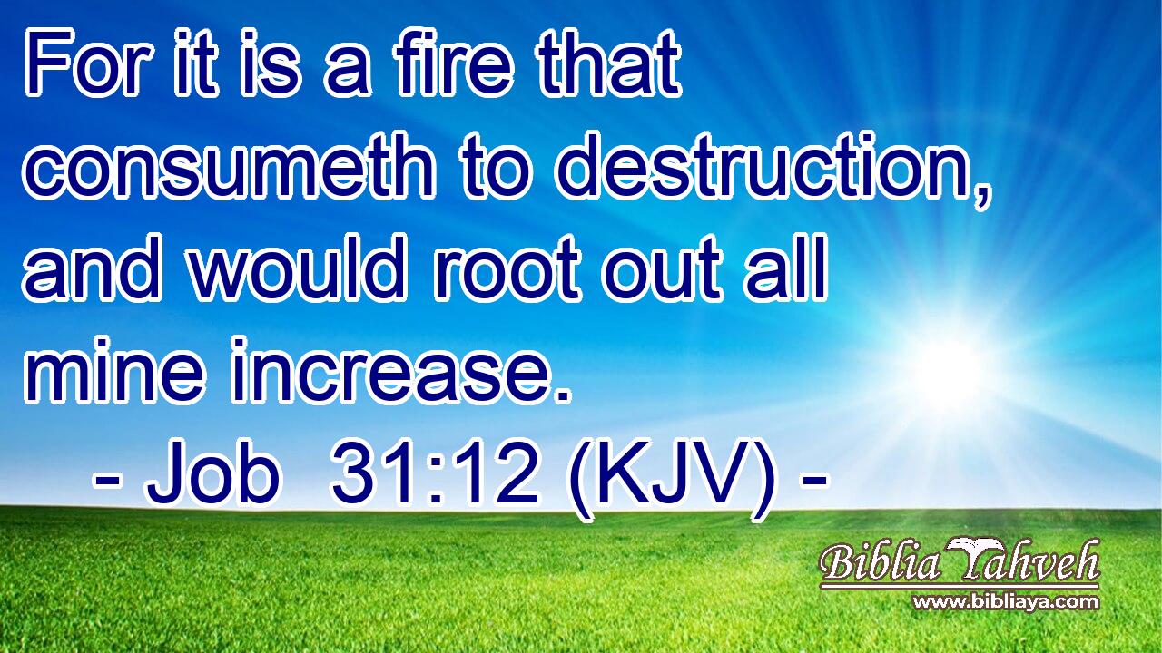 For it is a fire that consumeth to destruction, and would root out all mine increase.