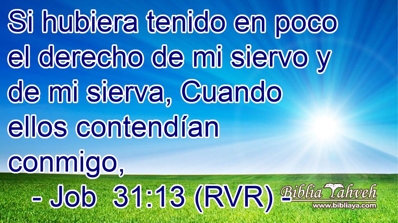Si hubiera tenido en poco el derecho de mi siervo y de mi sierva, Cuando ellos contendían conmigo,