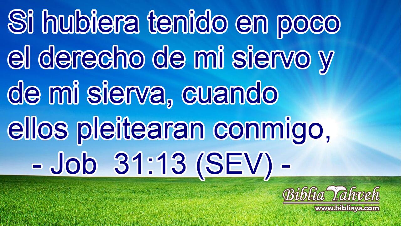 Si hubiera tenido en poco el derecho de mi siervo y de mi sierva, cuando ellos pleitearan conmigo,