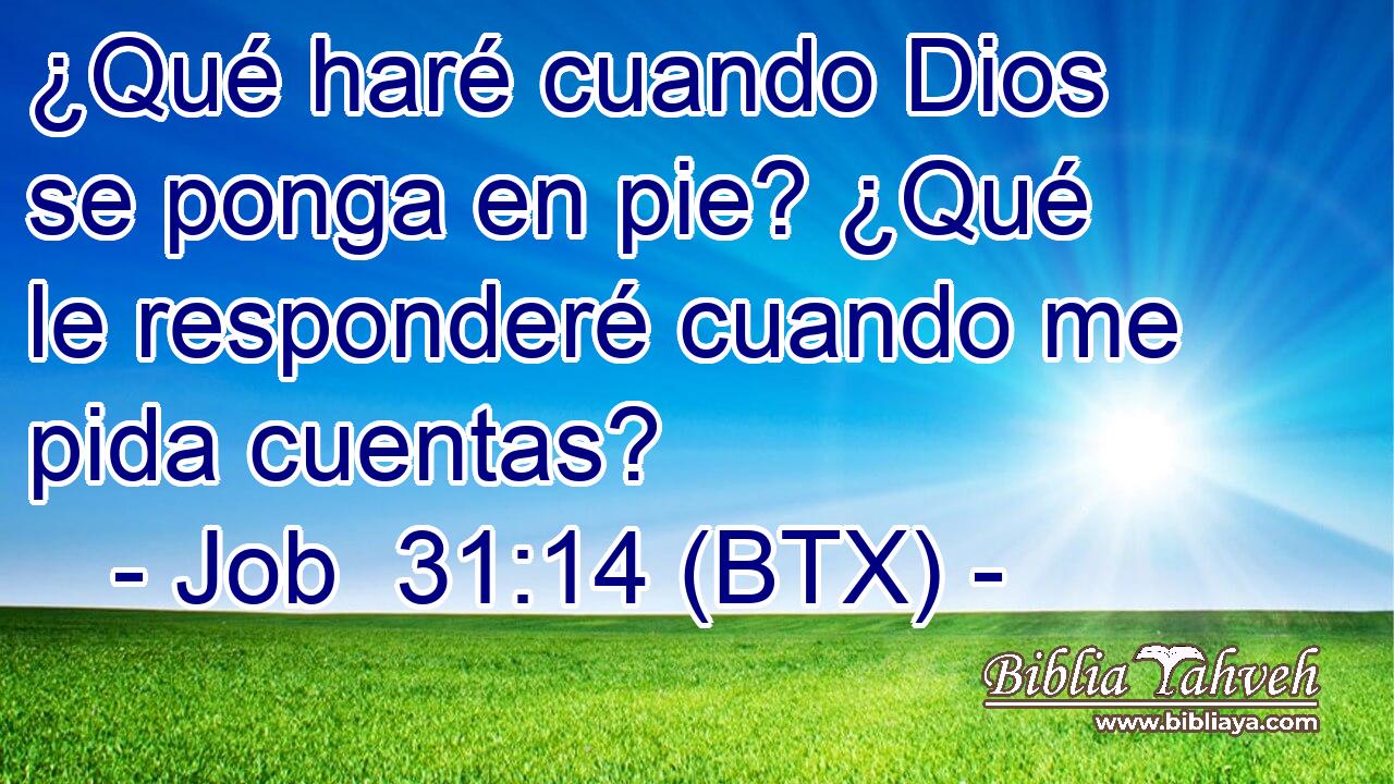 ¿Qué haré cuando Dios se ponga en pie? ¿Qué le responderé cuando me pida cuentas?