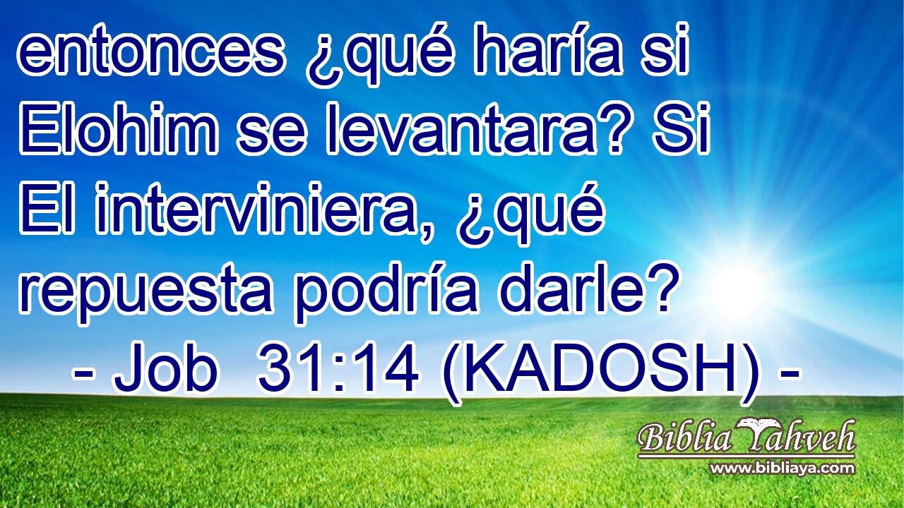  entonces ¿qué haría si Elohim se levantara? Si El interviniera, ¿qué repuesta podría darle? 