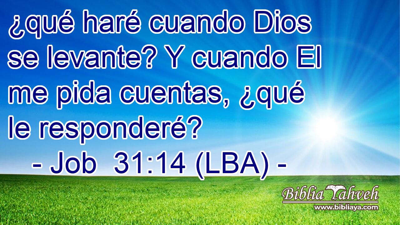 ¿qué haré cuando Dios se levante? Y cuando El me pida cuentas, ¿qué le responderé?