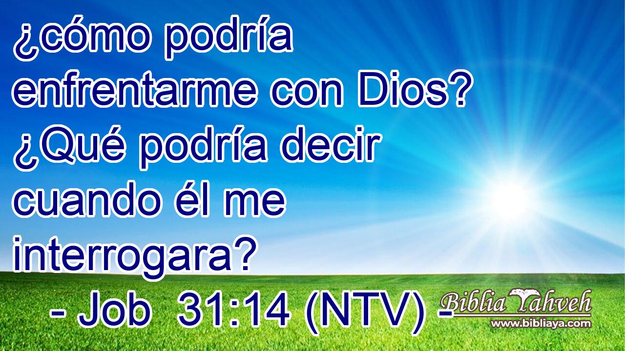 ¿cómo podría enfrentarme con Dios? ¿Qué podría decir cuando él me interrogara?
