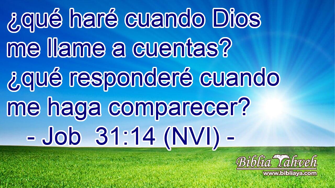  ¿qué haré cuando Dios me llame a cuentas? ¿qué responderé cuando me haga comparecer? 