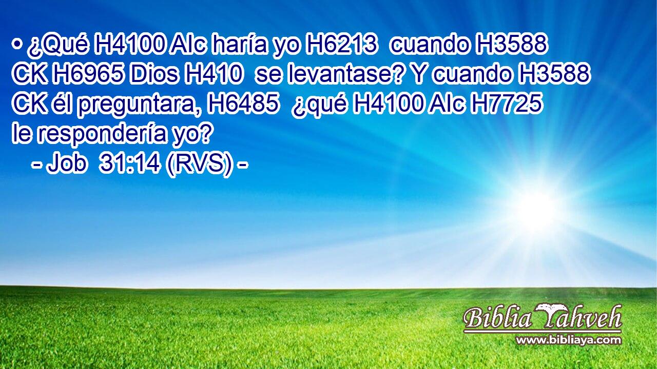 • ¿Qué H4100 AIc haría yo H6213  cuando H3588 CK H6965 Dios H410  se levantase? Y cuando H3588 CK él preguntara, H6485  ¿qué H4100 AIc H7725 le respondería yo? 