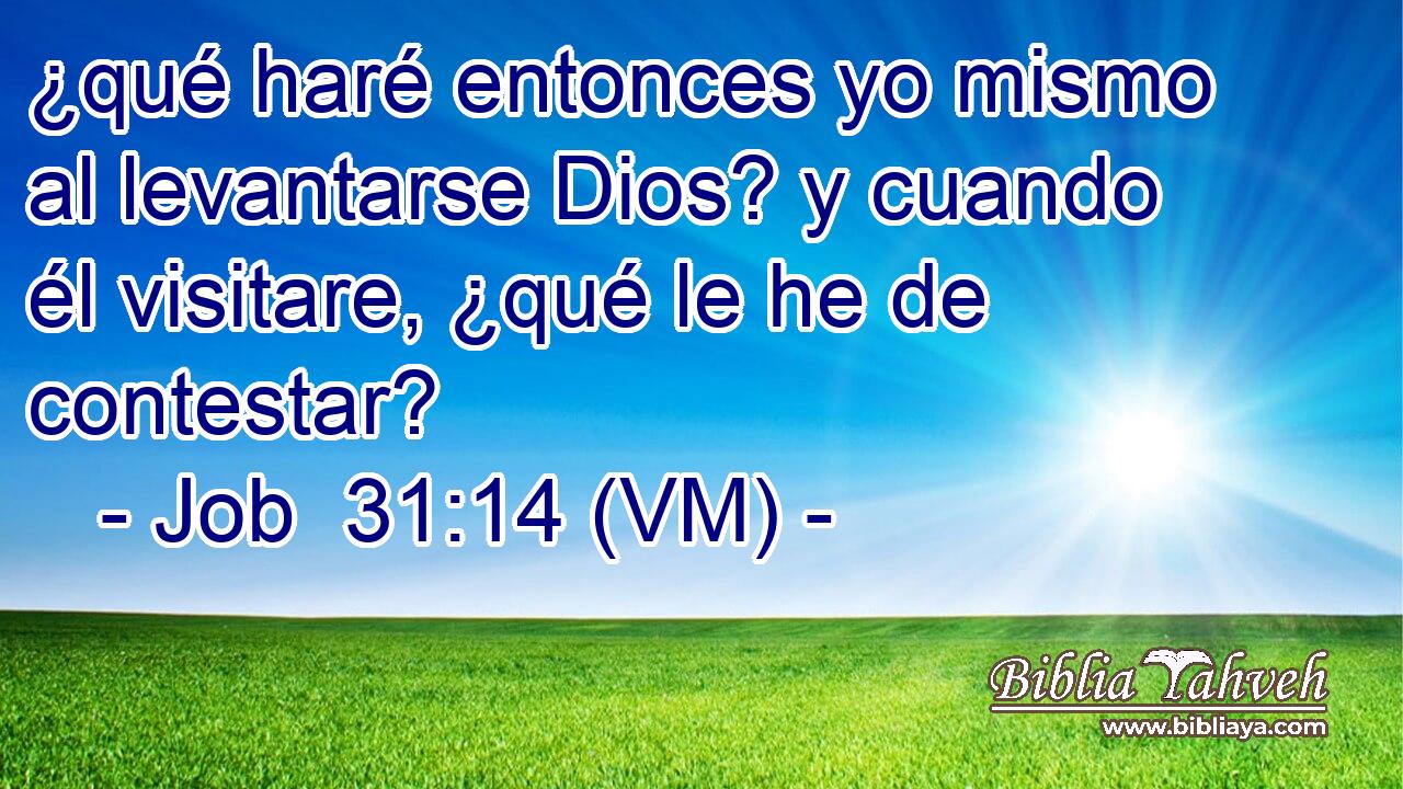  ¿qué haré entonces yo mismo al levantarse Dios? y cuando él visitare, ¿qué le he de contestar? 
