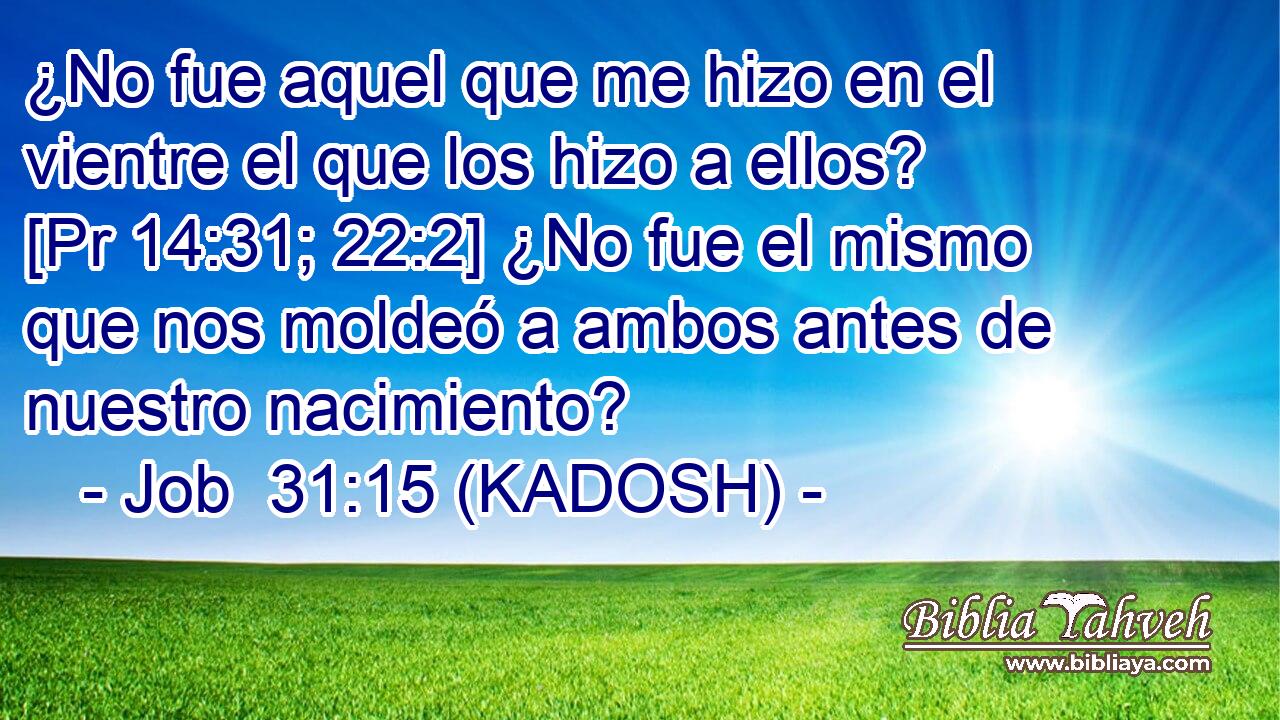  ¿No fue aquel que me hizo en el vientre el que los hizo a ellos? [Pr 14:31; 22:2] ¿No fue el mismo que nos moldeó a ambos antes de nuestro nacimiento? 