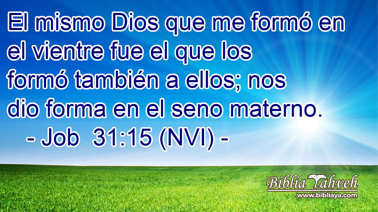  El mismo Dios que me formó en el vientre fue el que los formó también a ellos; nos dio forma en el seno materno. 