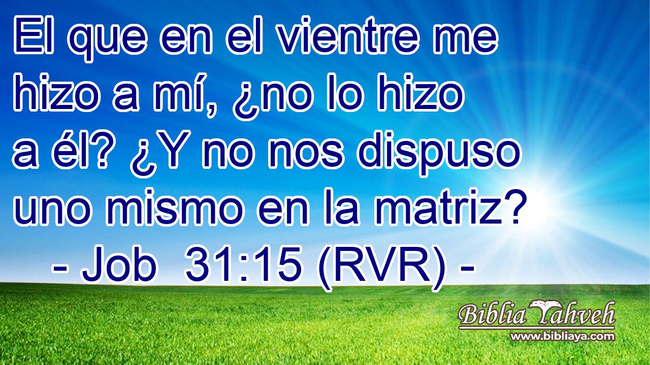 El que en el vientre me hizo a mí, ¿no lo hizo a él? ¿Y no nos dispuso uno mismo en la matriz?