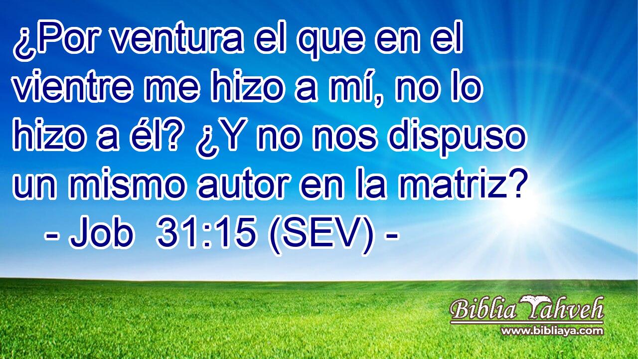 ¿Por ventura el que en el vientre me hizo a mí, no lo hizo a él? ¿Y no nos dispuso un mismo autor en la matriz?