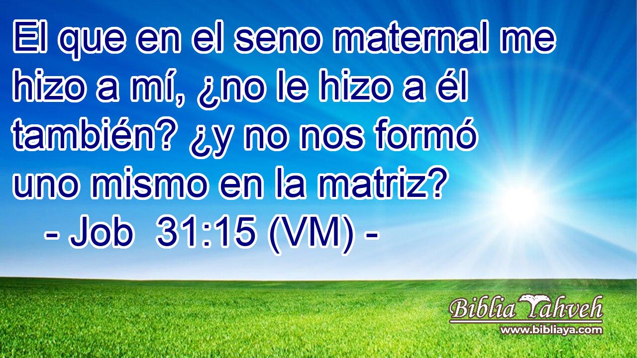  El que en el seno maternal me hizo a mí, ¿no le hizo a él también? ¿y no nos formó uno mismo en la matriz? 