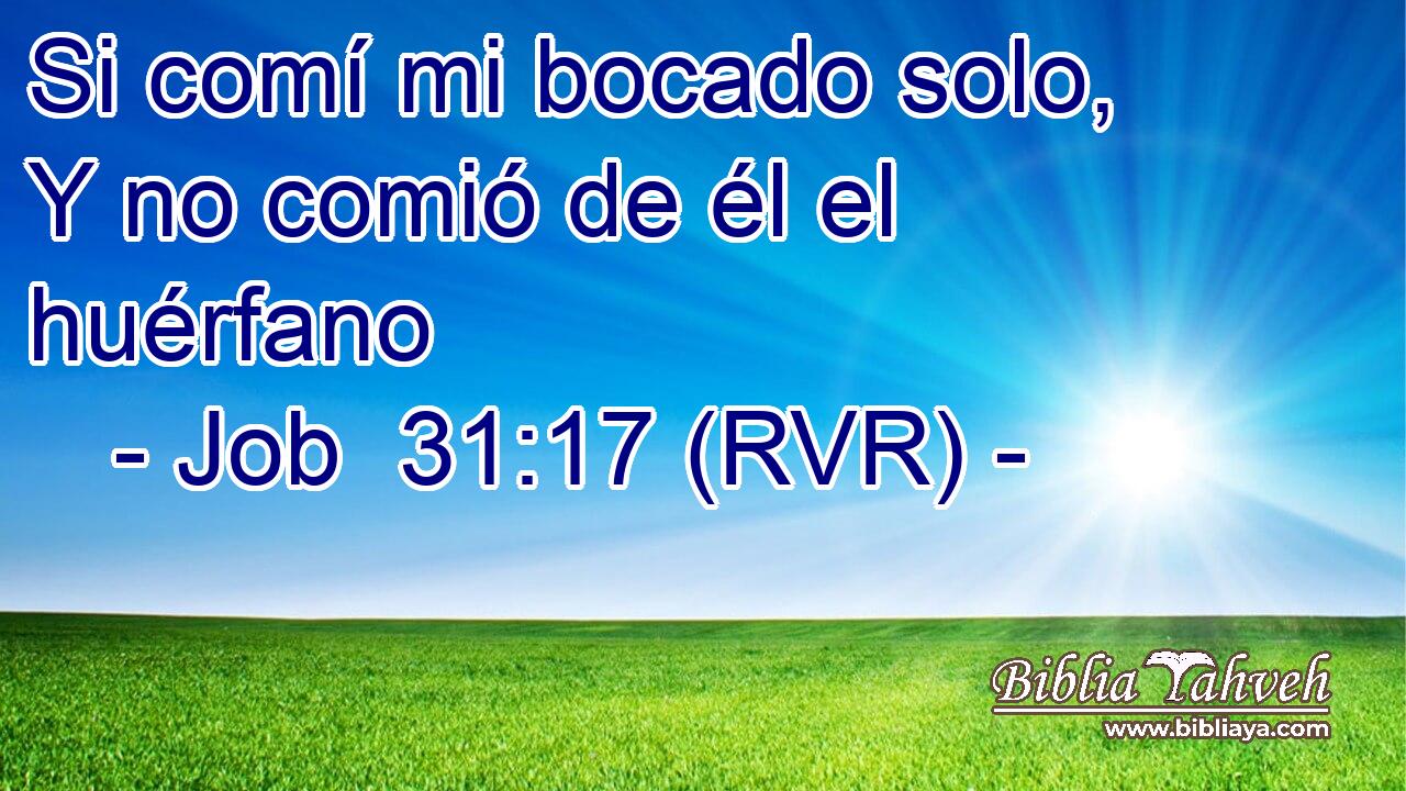 Si comí mi bocado solo, Y no comió de él el huérfano