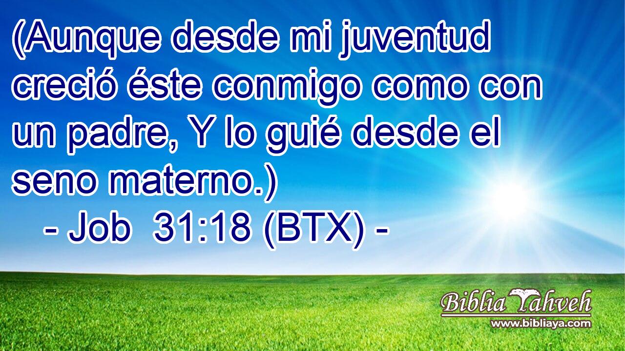 (Aunque desde mi juventud creció éste conmigo como con un padre, Y lo guié desde el seno materno.)