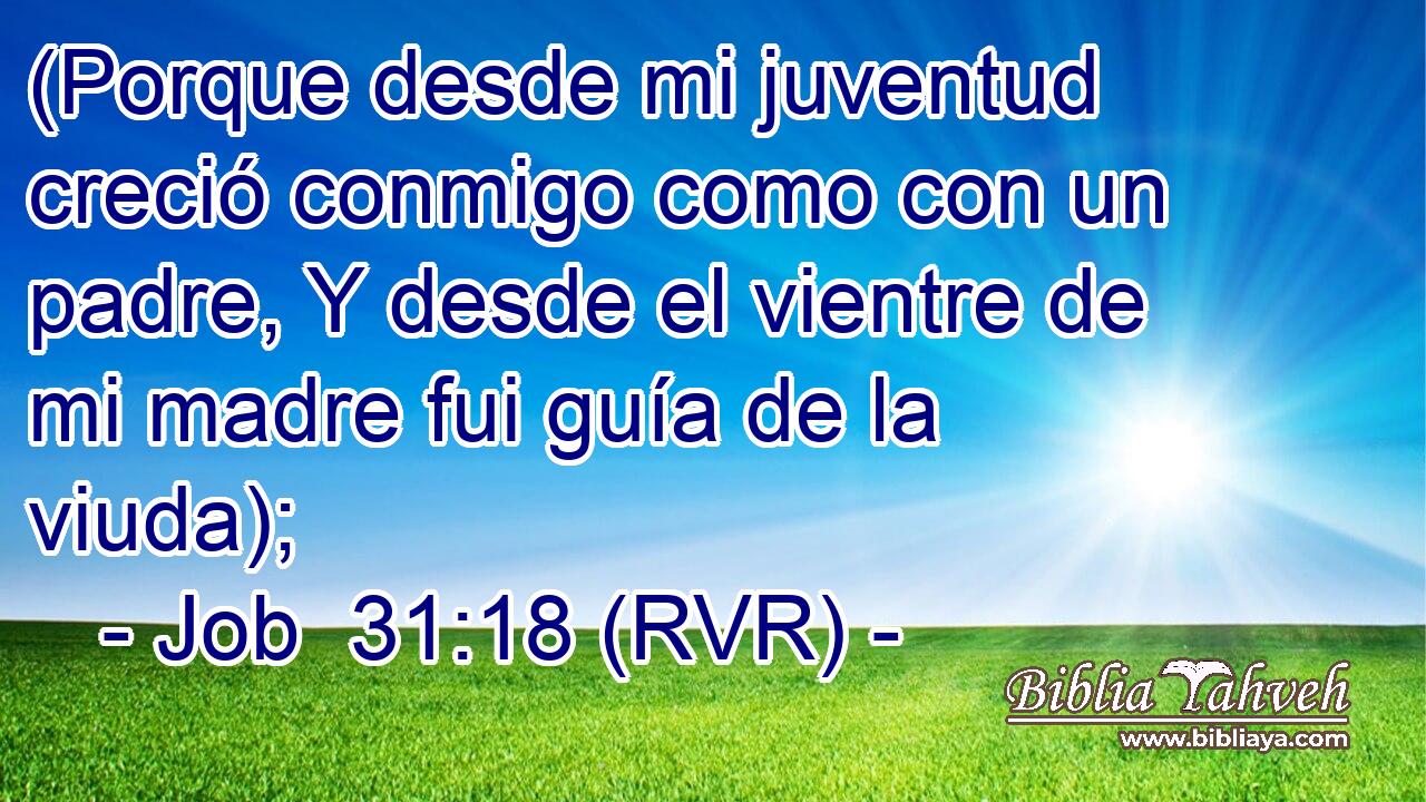 (Porque desde mi juventud creció conmigo como con un padre, Y desde el vientre de mi madre fui guía de la viuda);