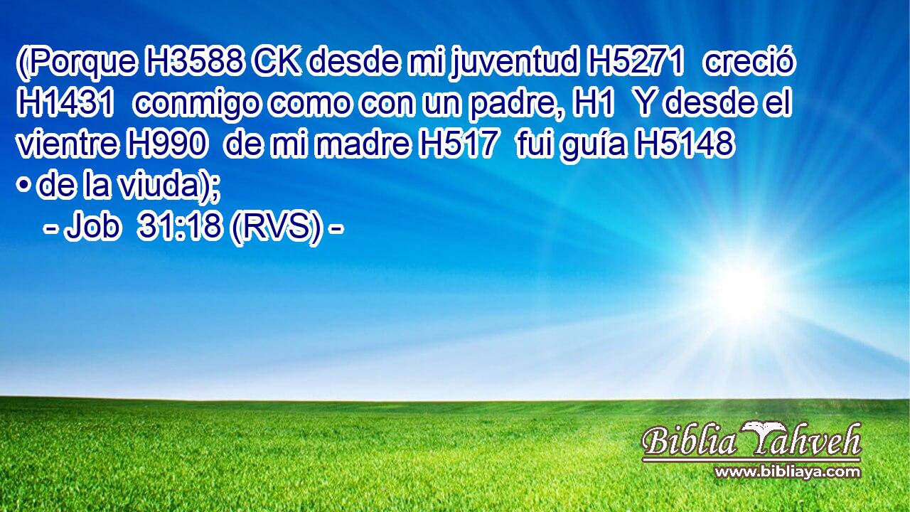 (Porque H3588 CK desde mi juventud H5271  creció H1431  conmigo como con un padre, H1  Y desde el vientre H990  de mi madre H517  fui guía H5148  • de la viuda); 