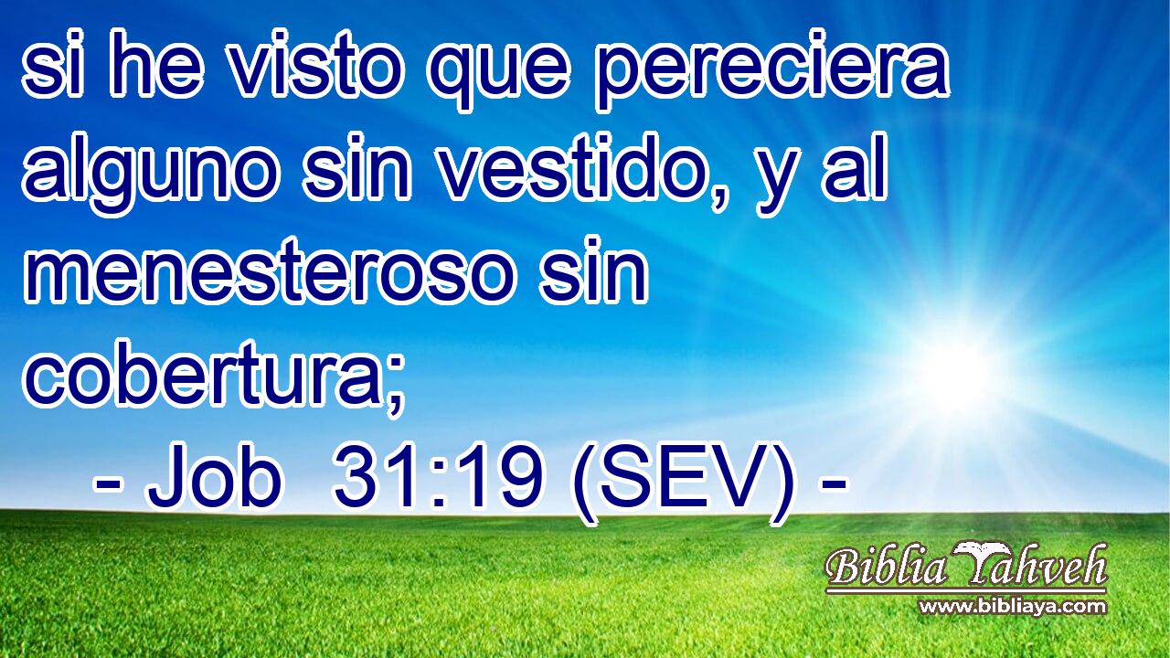 si he visto que pereciera alguno sin vestido, y al menesteroso sin cobertura;