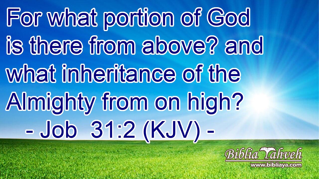 For what portion of God is there from above? and what inheritance of the Almighty from on high?