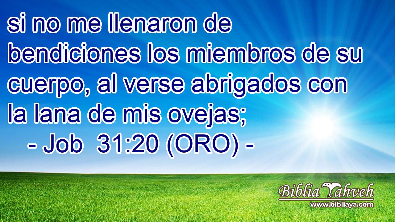  si no me llenaron de bendiciones los miembros de su cuerpo, al verse abrigados con la lana de mis ovejas; 