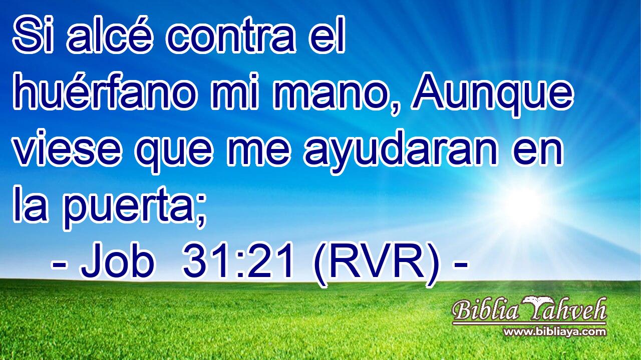 Si alcé contra el huérfano mi mano, Aunque viese que me ayudaran en la puerta;