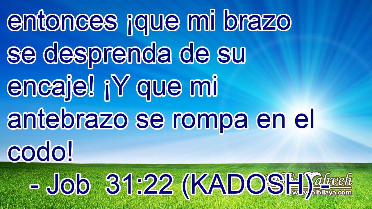  entonces ¡que mi brazo se desprenda de su encaje! ¡Y que mi antebrazo se rompa en el codo! 
