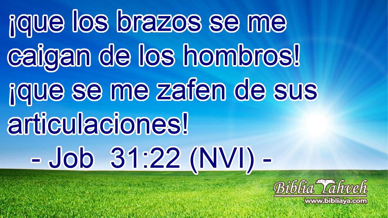  ¡que los brazos se me caigan de los hombros! ¡que se me zafen de sus articulaciones! 