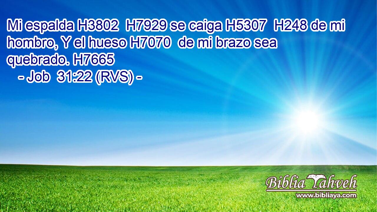 Mi espalda H3802  H7929 se caiga H5307  H248 de mi hombro, Y el hueso H7070  de mi brazo sea quebrado. H7665  