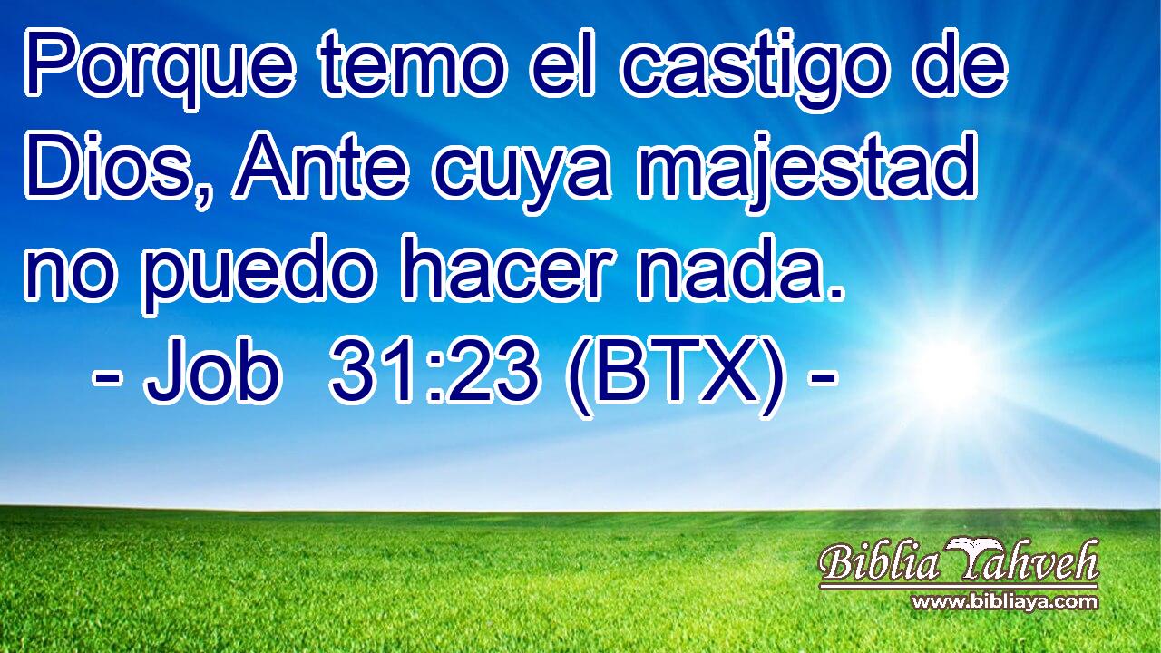 Porque temo el castigo de Dios, Ante cuya majestad no puedo hacer nada.