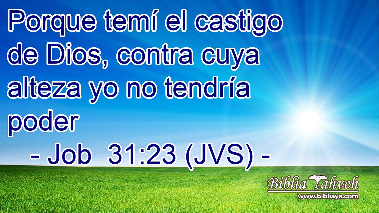 Porque temí el castigo de Dios, contra cuya alteza yo no tendría poder