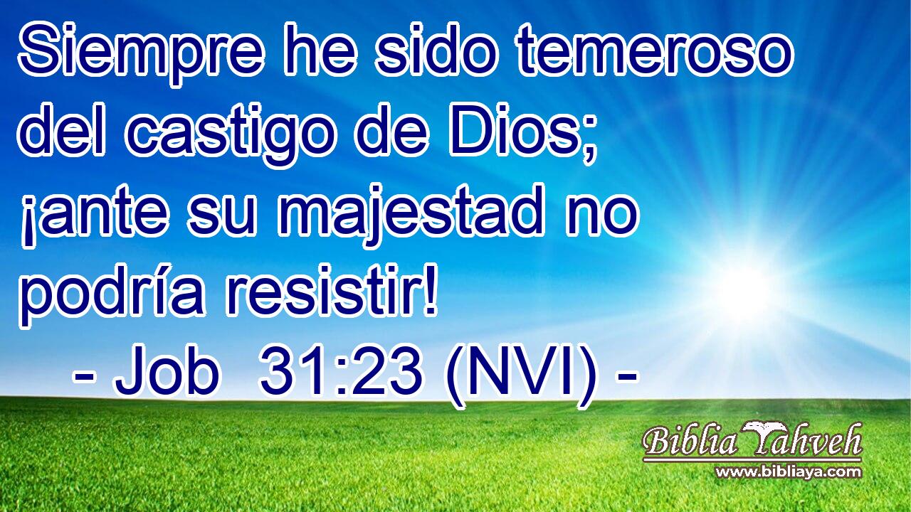  Siempre he sido temeroso del castigo de Dios; ¡ante su majestad no podría resistir! 