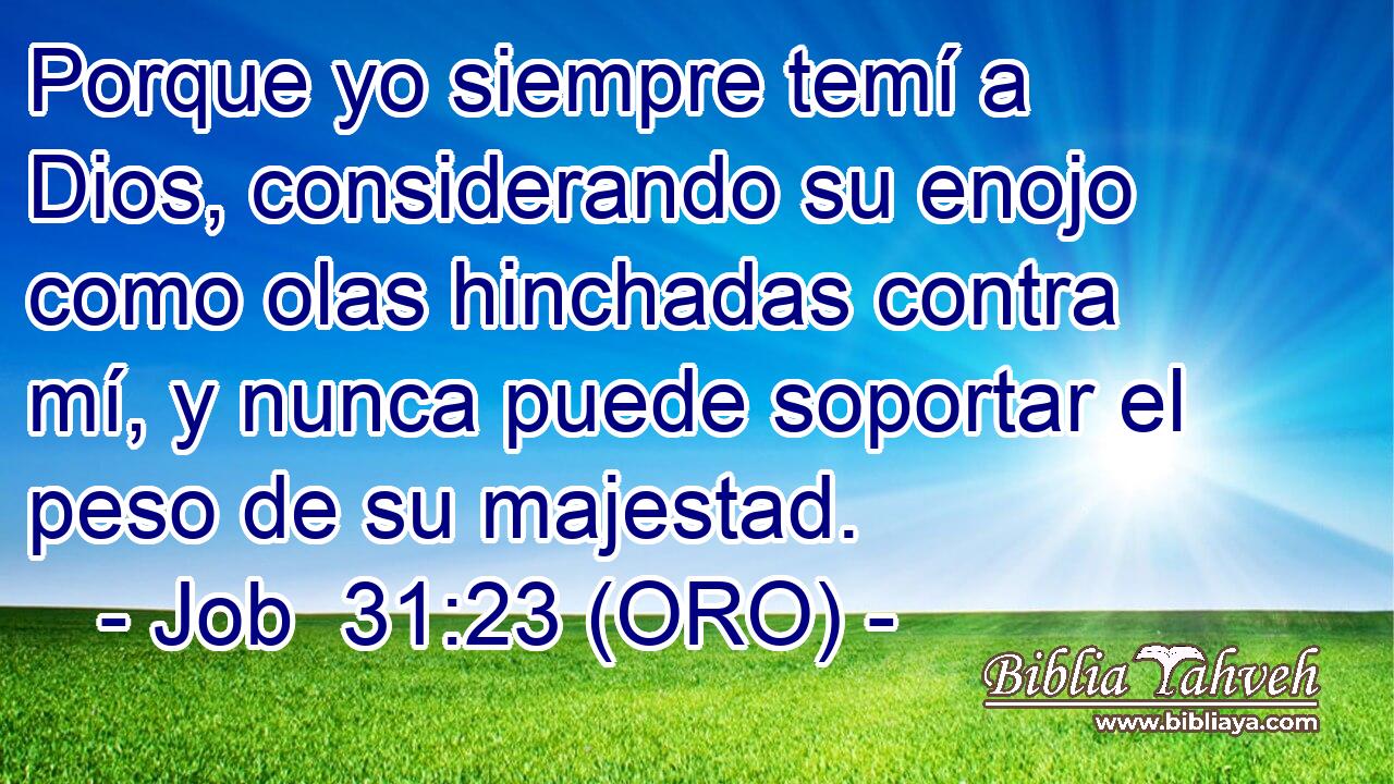  Porque yo siempre temí a Dios, considerando su enojo como olas hinchadas contra mí, y nunca puede soportar el peso de su majestad. 