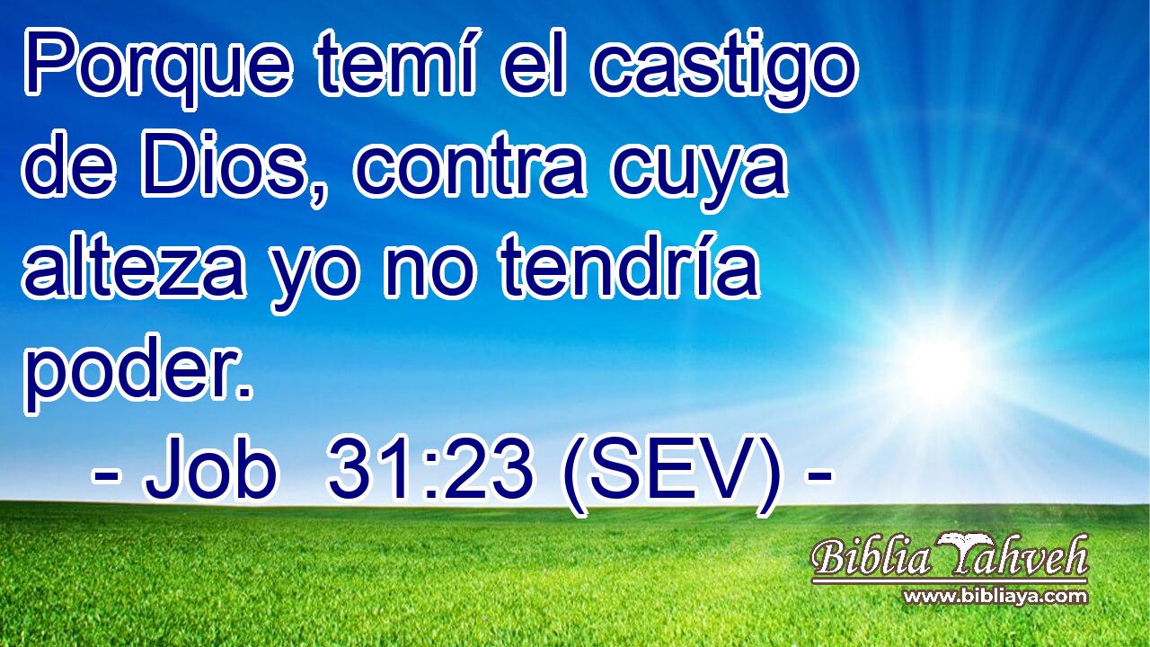 Porque temí el castigo de Dios, contra cuya alteza yo no tendría poder.
